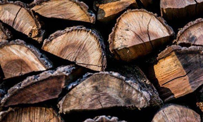 black walnut firewood in Colorado
