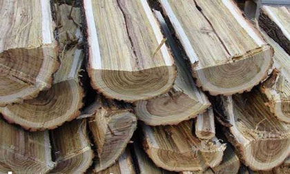 locust firewood premium in Colorado