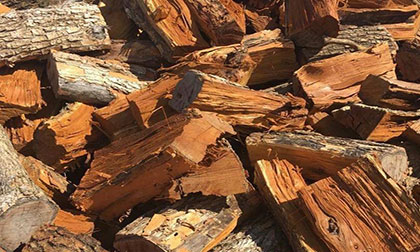 osage orange firewood Colorado