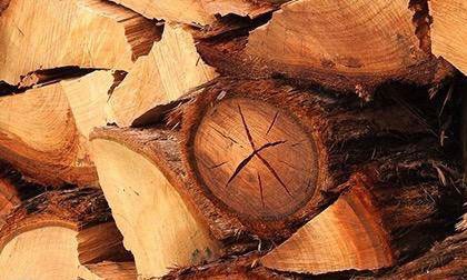 premium red maple firewood in Colorado