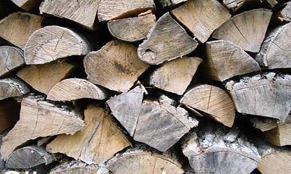 chopped silver maple firewood